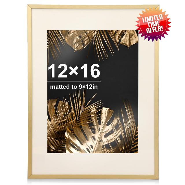 Fixwal 12 x 16 Aluminum Picture Frame Set of 1 Metal Gold Frame Tempered Glass with Mat for Wall Display