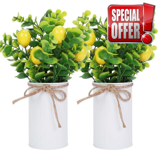 Omldggr 2 Pack Faux Lemon Kitchen Decor Lemon Table Centerpiece Decor Metal Potted Artificial Plant for Spring Summer Farmhouse Decoration Home Tiered Tray Tabletop Display