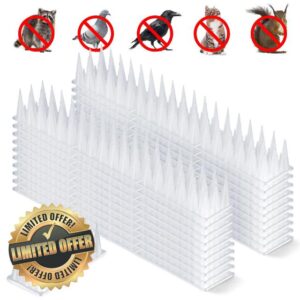 Bird Spikes