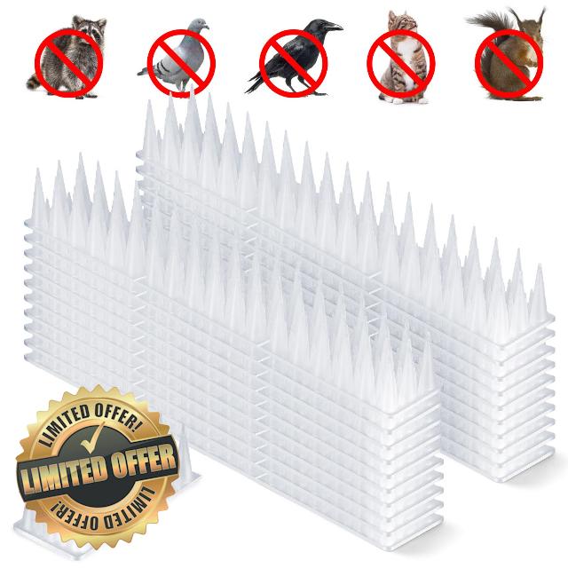 Bird Spikes