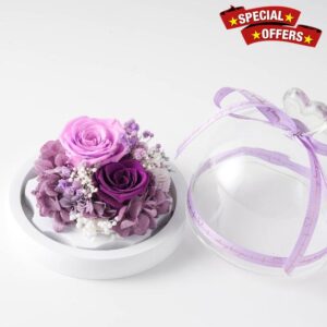 GoeJardin 2 Small Preserved Roses with LED Lighting