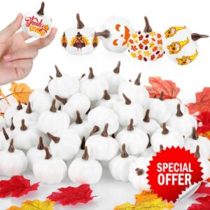 Tigeen 100 Pcs Fake Pumpkins 1.8 x 2.2 Inch White Artificial Pumpkins Rustic Pumpkin Decor Fake Foam Pumpkins for DIY Craft Halloween Thanksgiving Wedding Centerpieces Tabletop Decoration Harvest