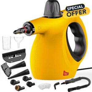 Pressurized Steam Cleaner