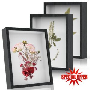 Shadow Boxes Display Cases 8x10 - 3 Pack Deep Shadowbox Picture Frame with Galss 3D Display Wood Shadow Box Frame with Line Board