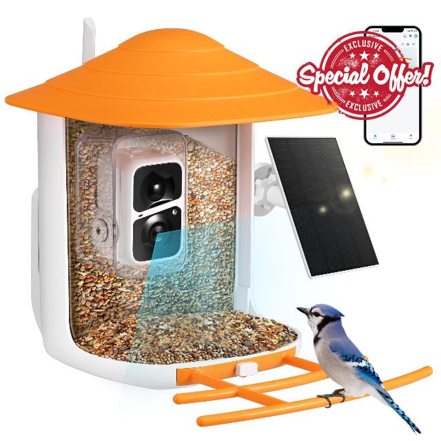Bird Feeder Camera