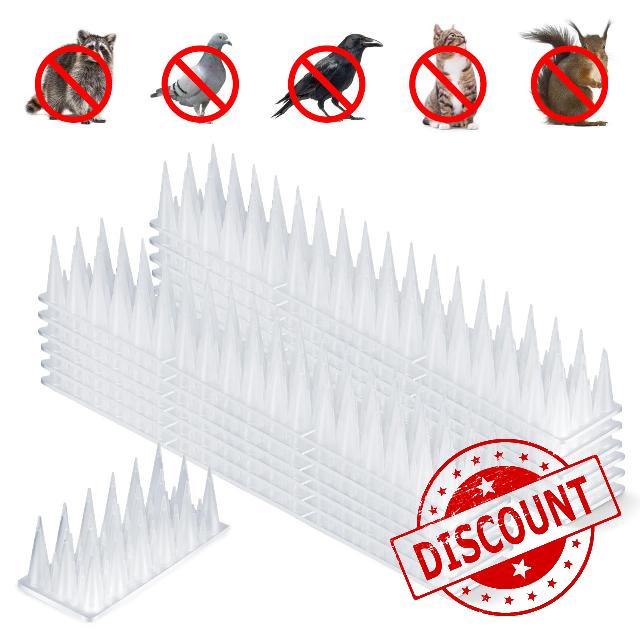 Bird Spikes