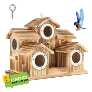 CEED4U Bird House