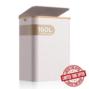 Laundry Hamper With Lid