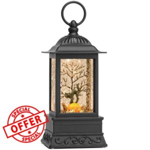 Black Cat Snow Globe Halloween Decorations for Home