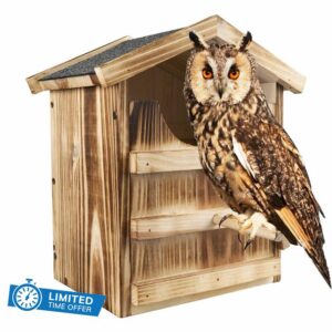 Owl House ，Barn Owl Bird House