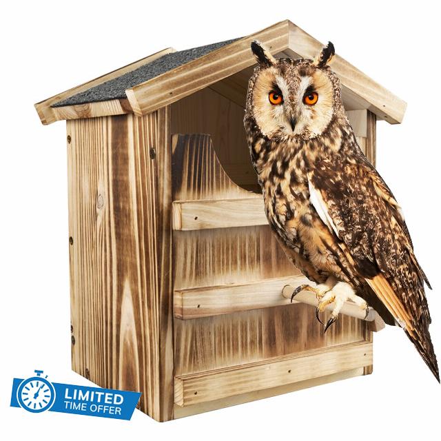 Owl House ,Barn Owl Bird House