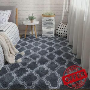 Yancorp 5x7 Area Rug Living Room Rugs Fluffy Shag Fuzzy Carpet Plush Soft Extra Large Area Rug for Living Room Bedroom Indoor Floor Rug Modern Geometric Trellis Rug