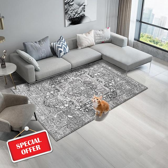 Area Rug 4'x6' Rug Vintage Floor Cover Foldable,Grey