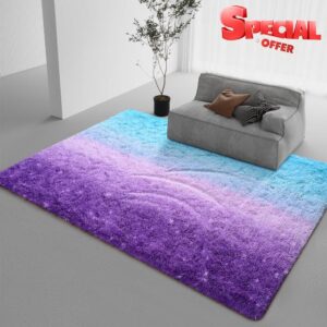 DweIke Fluffy Rugs Gradient Carpets