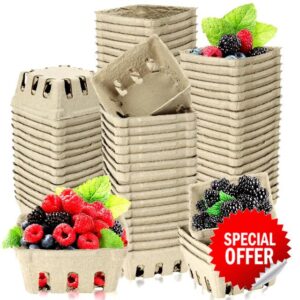 Vmiapxo 80 Pack Natural Pulp Fiber Berry Basket