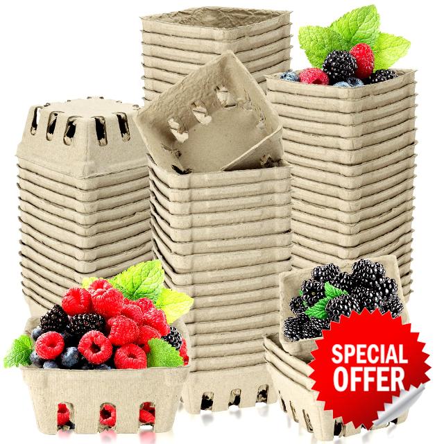 Vmiapxo 80 Pack Natural Pulp Fiber Berry Basket