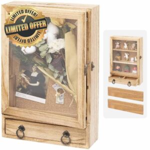 Qiannhee Shadow Box Display Case