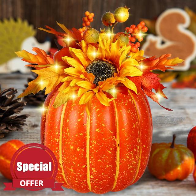 Roseeyo 11 Inch Lighted Pumpkin Decor