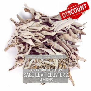 Yerbero - Premium White Sage Cluster Incense 1 LB (453g) | Hoja De Salvia Blanca Entera | Salvia officinalis | Sanctification