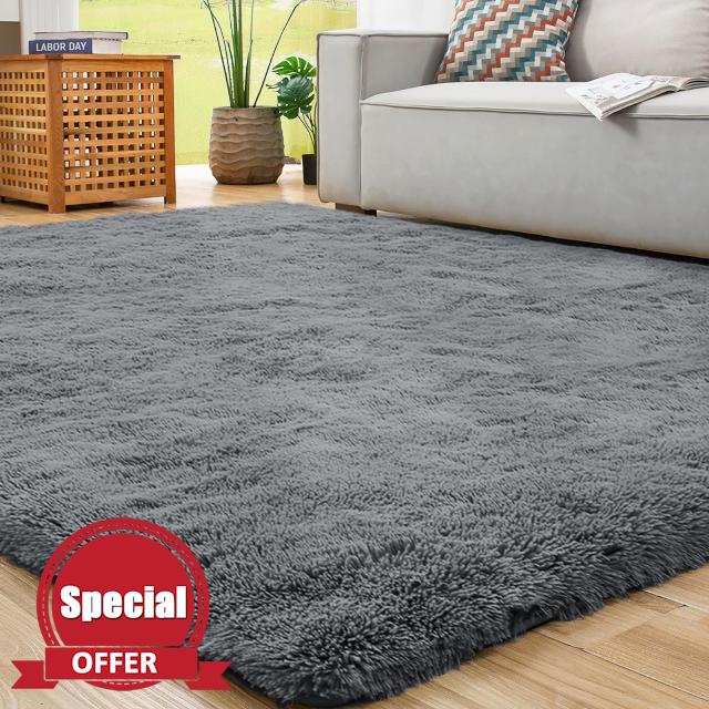 ROCYJULIN Area Rug for Living Room