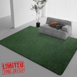 DweIke Modern Area Rugs for Bedroom Living Room