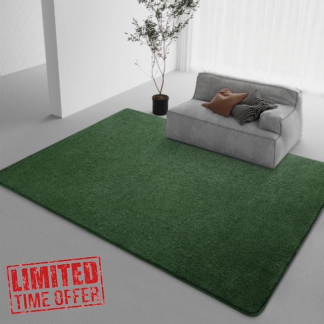 DweIke Modern Area Rugs for Bedroom Living Room