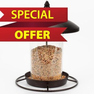 Bird Feeders for Outdoors Hanging. Weather Resistant Hanging Wild Bird Feeder. Easy to Clean & to Refill and Comes with a S Hook. Bronze