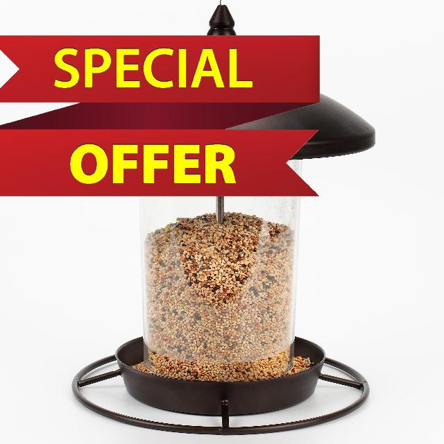 Bird Feeders for Outdoors Hanging. Weather Resistant Hanging Wild Bird Feeder. Easy to Clean & to Refill and Comes with a S Hook. Bronze