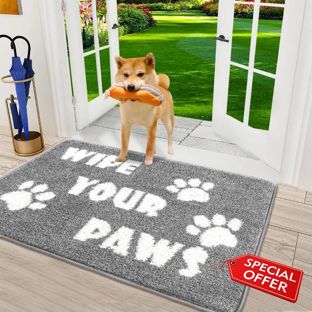 Vaukki Indoor Doormat Entryway Mat