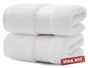 UGG 20046 Pasha Cotton 2-Piece Hand Towel Soft Fluffy Luxury Highly Absorbent Spa-Like Hotel Luxurious Machine Washable Towels