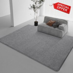 DweIke Modern Area Rugs for Bedroom Living Room