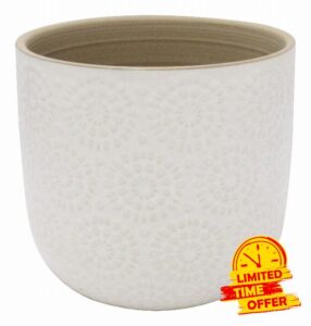 Amazon Brand &ndash; Stone & Beam Large Floral-Embossed Planter