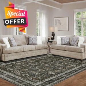 Area Rugs for Living Room Bedroom: Large Machine Washable Carpet with Non-Slip Backing Non Shedding Stain Resistant