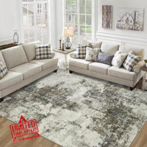 Area Rug for Living Room Bedroom