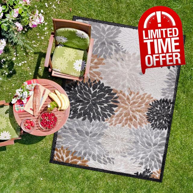 CAMILSON Indoor/Outdoor Rug