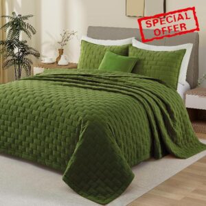 Lavsiry Queen Olive Quilt with 2 Pillow Shams