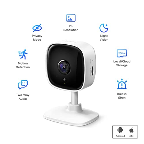 Dog Camera w/ Motion Detection