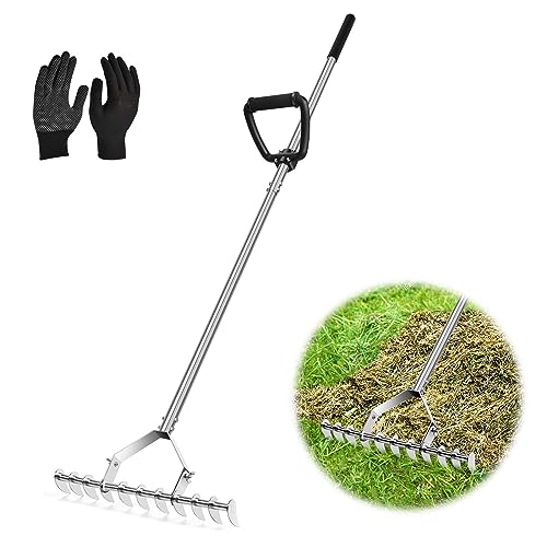 60" Dethatcher Rake for Cleaning Dead Grass