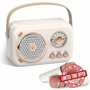 ILOVK Karaoke Machine for Adults & Kids