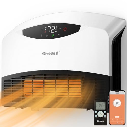 Floor or Wall Mounted Heater
