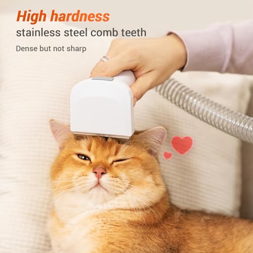 Cat Brush