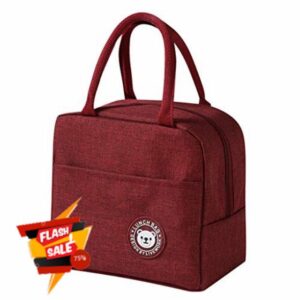 KANDQOTZ Insulated Picnic Cartoon Carry Case Thermal Portable Cold Lunch Bag Bento bag Picnic Hiking Beach Fishing (Red