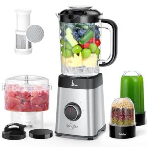 5 in 1 blender for shakes and smoothies