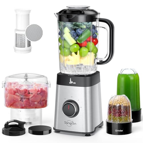 5 in 1 blender for shakes and smoothies