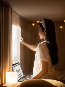 Light Reducing Bed Canopy for Kids and Adult