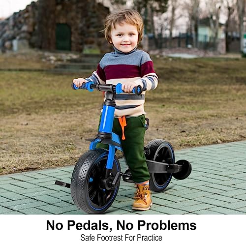 Bicycle Birthday Gifts for Kids(Pink)