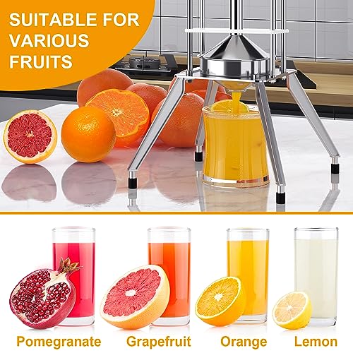 Lemon juicer