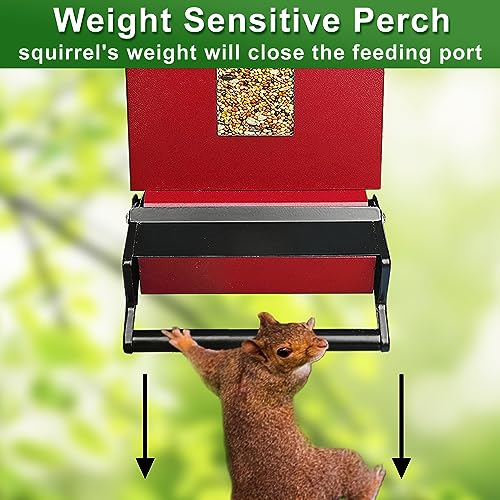 5lbs Large Seed Capacity for Cardinal