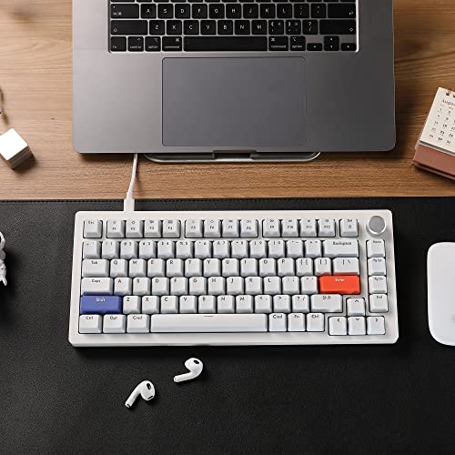 TKL Mechanical Keyboard