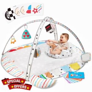 Lupantte Baby Play Gym